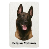 belgische malinois magneet (Verticaal)