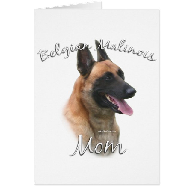 Belgische Malinois mam 2 (Voorkant)