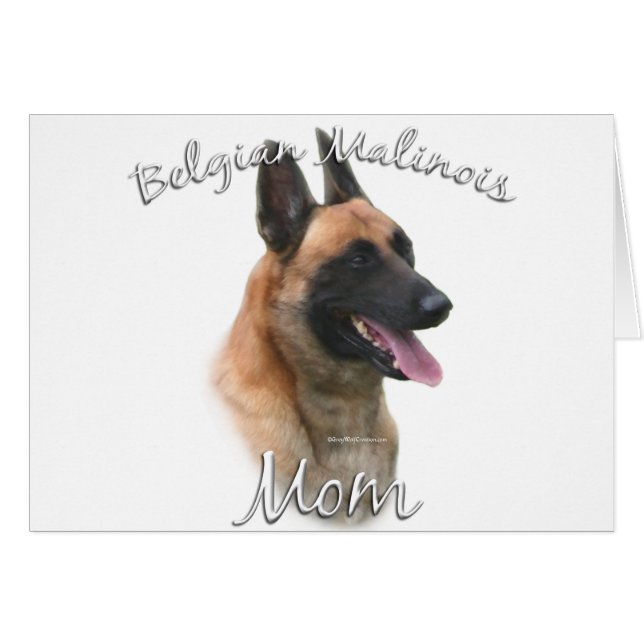 Belgische Malinois mam 2 (Voorkant Horizontaal)