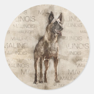 Belgische Malinois - Mechelaar - Maligator Ronde Sticker