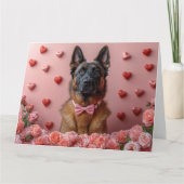 Belgische Malinois met Rozen - Valentijnsdag  Kaart (Voorkant)