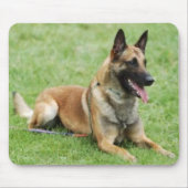 Belgische Malinois Mousepad Muismat (Voorkant)