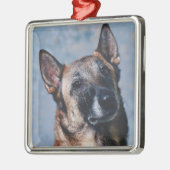 Belgische Malinois Ornament (Links)