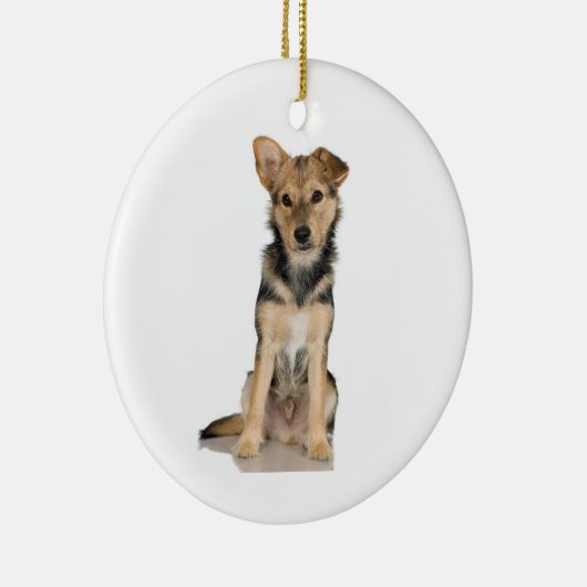 Belgische Malinois Ornament (Rechts)