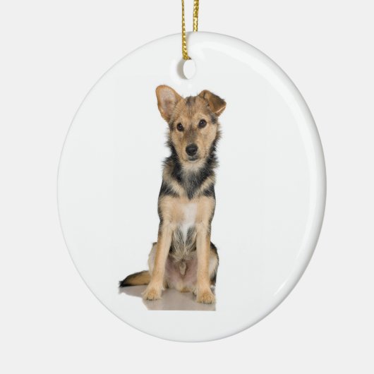 Belgische Malinois Ornament (Links)