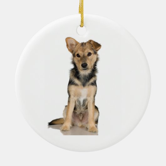 Belgische Malinois Ornament (Achterkant)