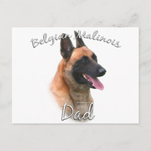 Belgische Malinois Pap 2 Briefkaart