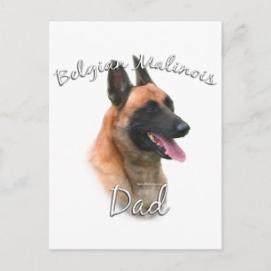 Belgische Malinois Pap 2 Briefkaart