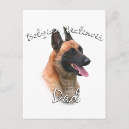 Belgische Malinois Pap 2 Briefkaart (Voorkant)