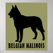 Belgische Malinois Poster (Voorkant)