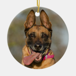 Belgische Malinois Puppy Dog Keramisch Ornament