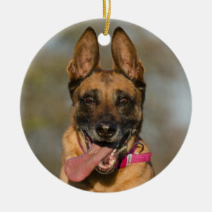Belgische Malinois Puppy Dog Keramisch Ornament