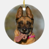 Belgische Malinois Puppy Dog Keramisch Ornament (Achterkant)