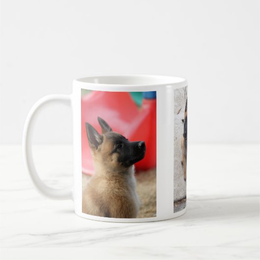 Belgische Malinois Puppy Mok (Links)