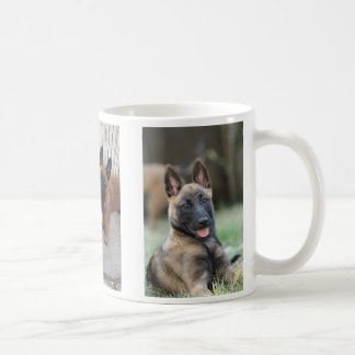 Belgische Malinois Puppy Mok