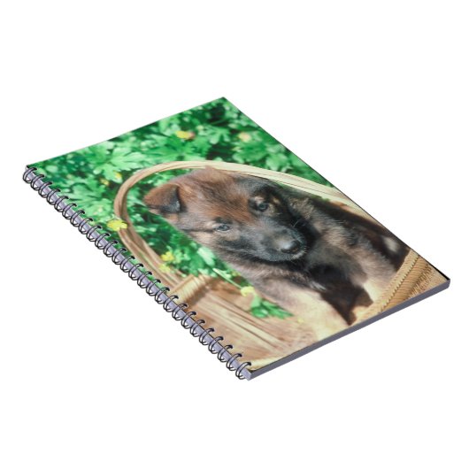 Belgische Malinois Puppy notebook Notitieboek (Rechterzijde)
