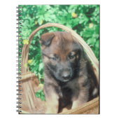 Belgische Malinois Puppy notebook Notitieboek (Voorkant)