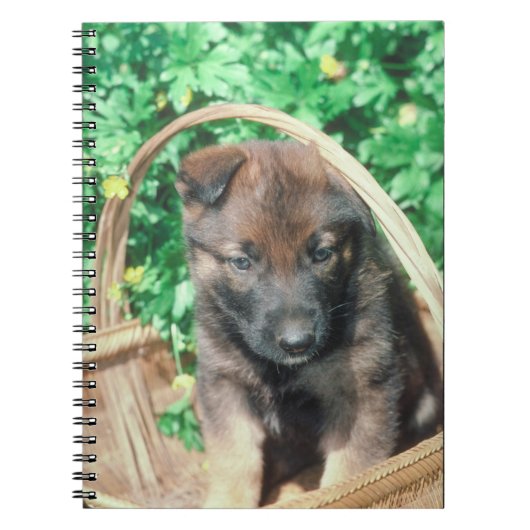 Belgische Malinois Puppy notebook Notitieboek (Voorkant)