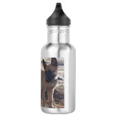 Belgische_Malinois_Puppy volledig Waterfles (Rechts)