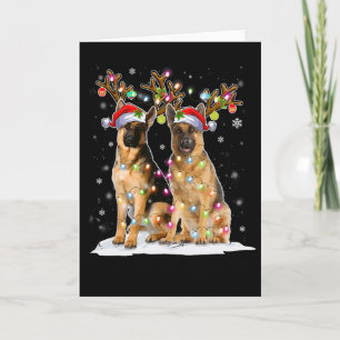Belgische Malinois Rendierhoed Kerstman Kerst Lich Kaart