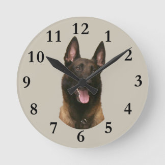 belgische malinois ronde klok