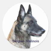 Belgische Malinois Sticker (Voorkant)