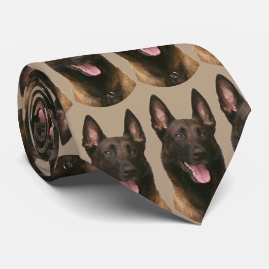 belgische malinois stropdas (Opgerold)