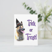 Belgische Malinois Trick Briefkaart (Staand voorkant)