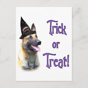 Belgische Malinois Trick Briefkaart