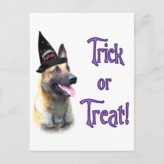 Belgische Malinois Trick Briefkaart (Voorkant)