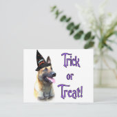 Belgische Malinois Trick Briefkaart (Staand voorkant)