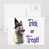 Belgische Malinois Trick Briefkaart (Voorkant / Achterkant)