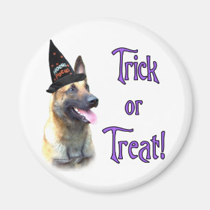 Belgische Malinois Trick Magneet