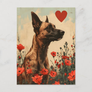 Belgische Malinois Valentijnsdag Briefkaart