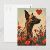 Belgische Malinois  Valentijnsdag Briefkaart (Voorkant / Achterkant)