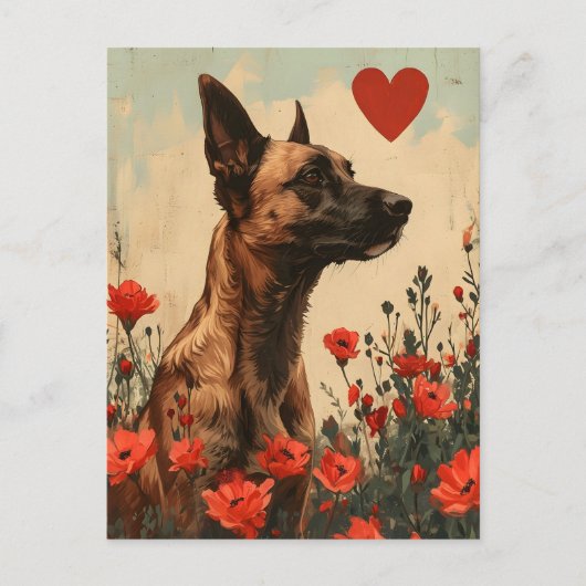 Belgische Malinois  Valentijnsdag Briefkaart (Voorkant)