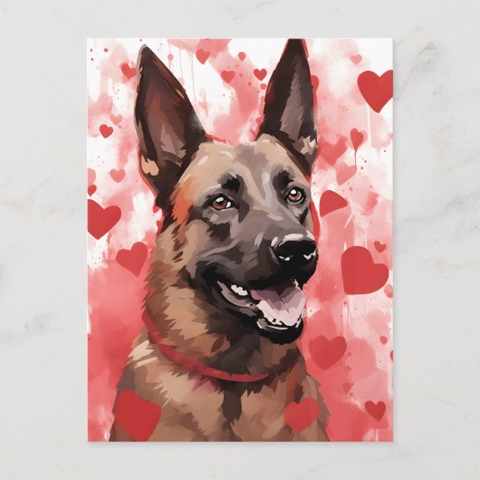 Belgische Malinois Valentijnsdag Briefkaart (Voorkant)