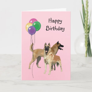 Belgische Malinois, Verjaardagsballonnen Kaart