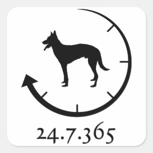 Belgische Malinois Vierkante Sticker
