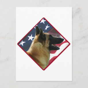 Belgische Malinois Vlag; Malinois 4 juli, USA Briefkaart