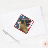Belgische Malinois Vlag; Malinois 4 juli, USA Ronde Sticker (Envelop)