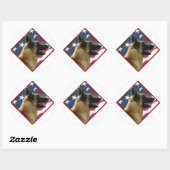 Belgische Malinois Vlag; Malinois 4 juli, USA Ronde Sticker (Vel)