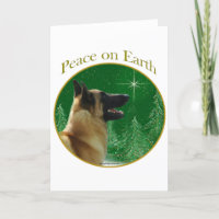 Belgische Malinois Vrede