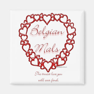 Belgische Malinois Ware Liefde; Liefde Belgische M Magneet