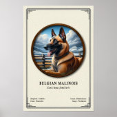 Belgische Malinois Zoologie Serie Poster (Voorkant)