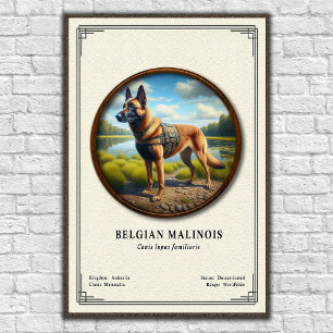 Belgische Malinois Zoologie Serie Poster