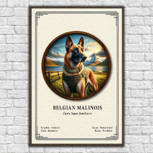 Belgische Malinois Zoologie Serie Poster