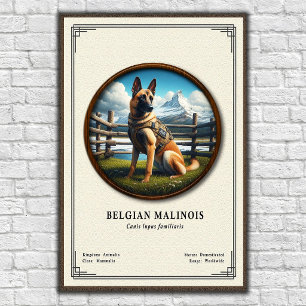 Belgische Malinois Zoologie Serie Poster
