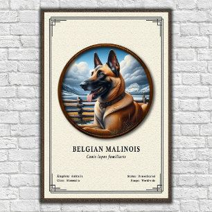Belgische Malinois Zoologie Serie Poster