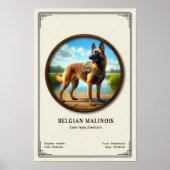 Belgische Malinois Zoölogische Serie Poster (Voorkant)
